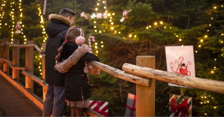 boy and girl admiring the view of Christmas trees and twinkling lights at The Plotter's Forest, Raby Castle